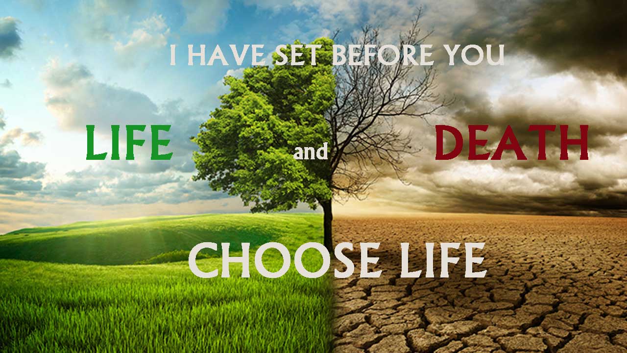 Вибери життя! 