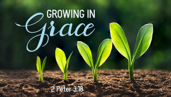 Здобуття в благодаті