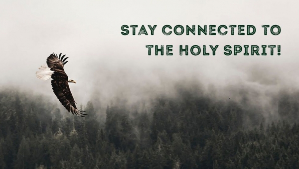 Під’єднані до Духа