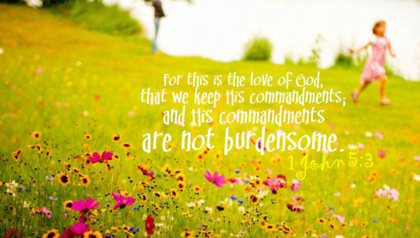 Продуктивність через відпочинок