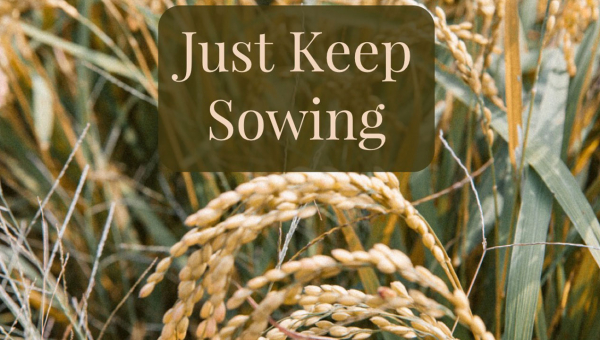 Продовжуйте сіяти
