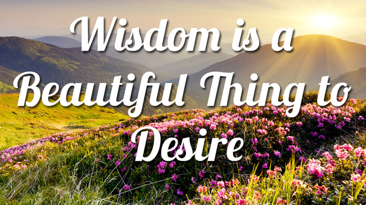 Мудрість породжує щастя