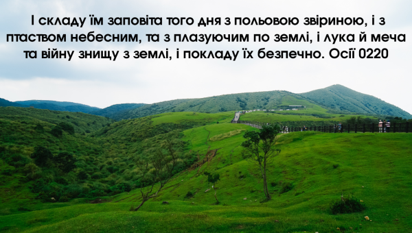 4/365 У СПОКІЙНОМУ ВІДПОЧИНКУ