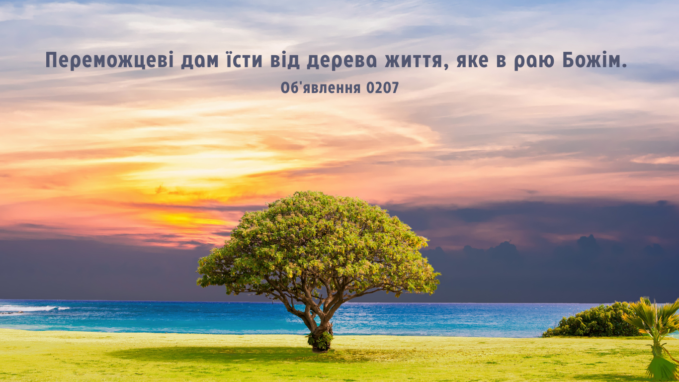 20/365 ПЕРЕМОЖЕЦЬ