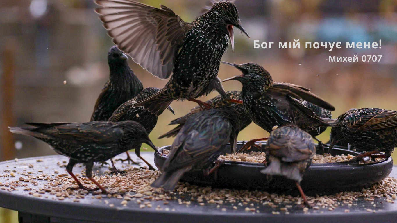 31/365 БОГ ЗАВЖДИ ЧУЄ