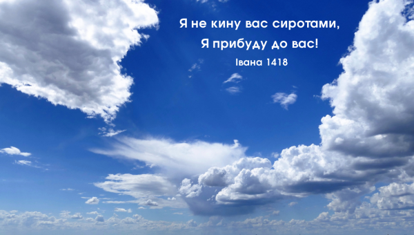 35/365 ВІН ПОВЕРНЕТЬСЯ