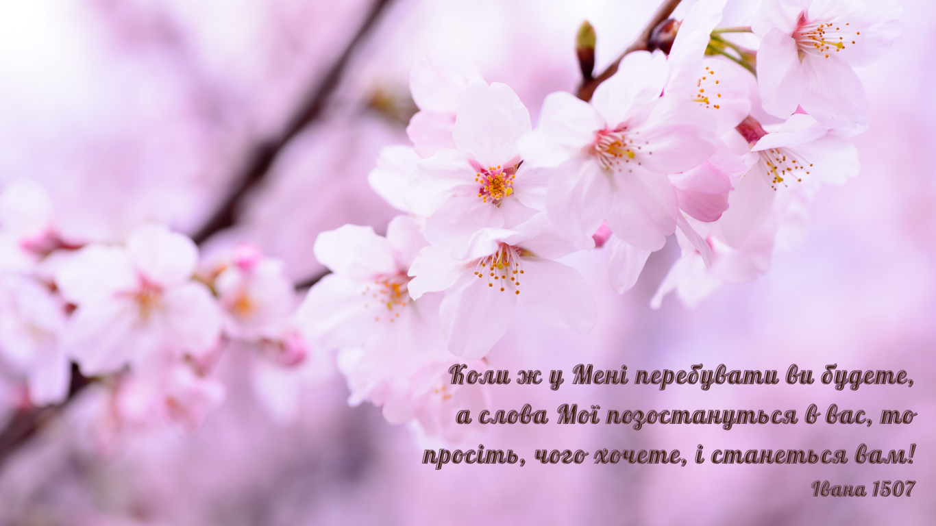 54/365 НЕОБХІДНЕ НЕРОЗРИВНЕ СПІЛКУВАННЯ