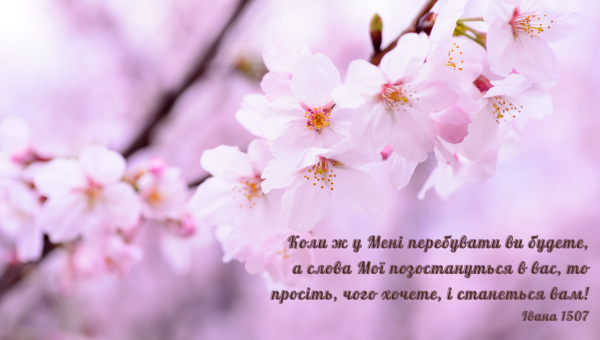 54/365 НЕОБХІДНЕ НЕРОЗРИВНЕ СПІЛКУВАННЯ