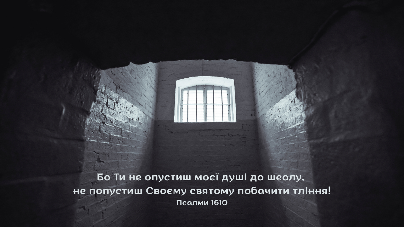 62/365 НЕ ЗАЛИШЕНІ НА ЗАГИБЕЛЬ