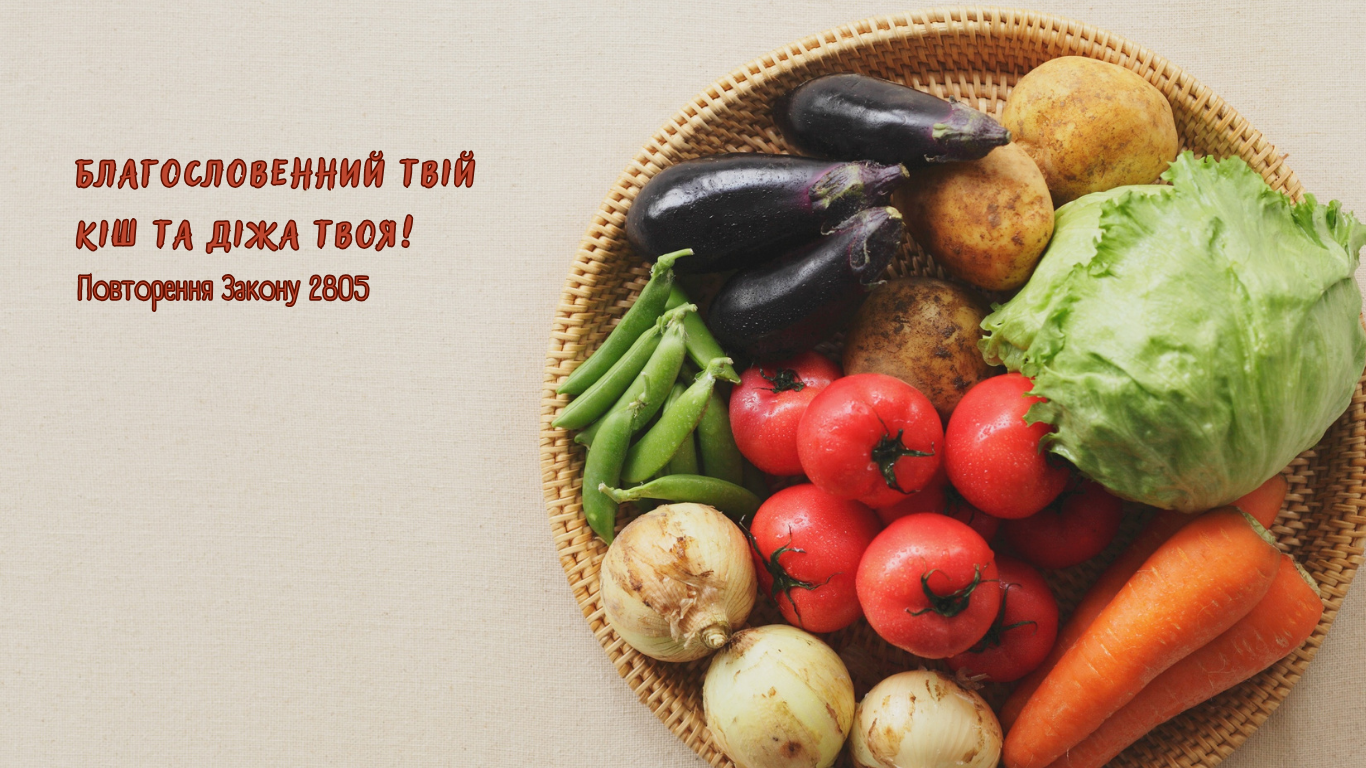 67/365 НАШІ НАДБАННЯ БЛАГОСЛОВЕННІ