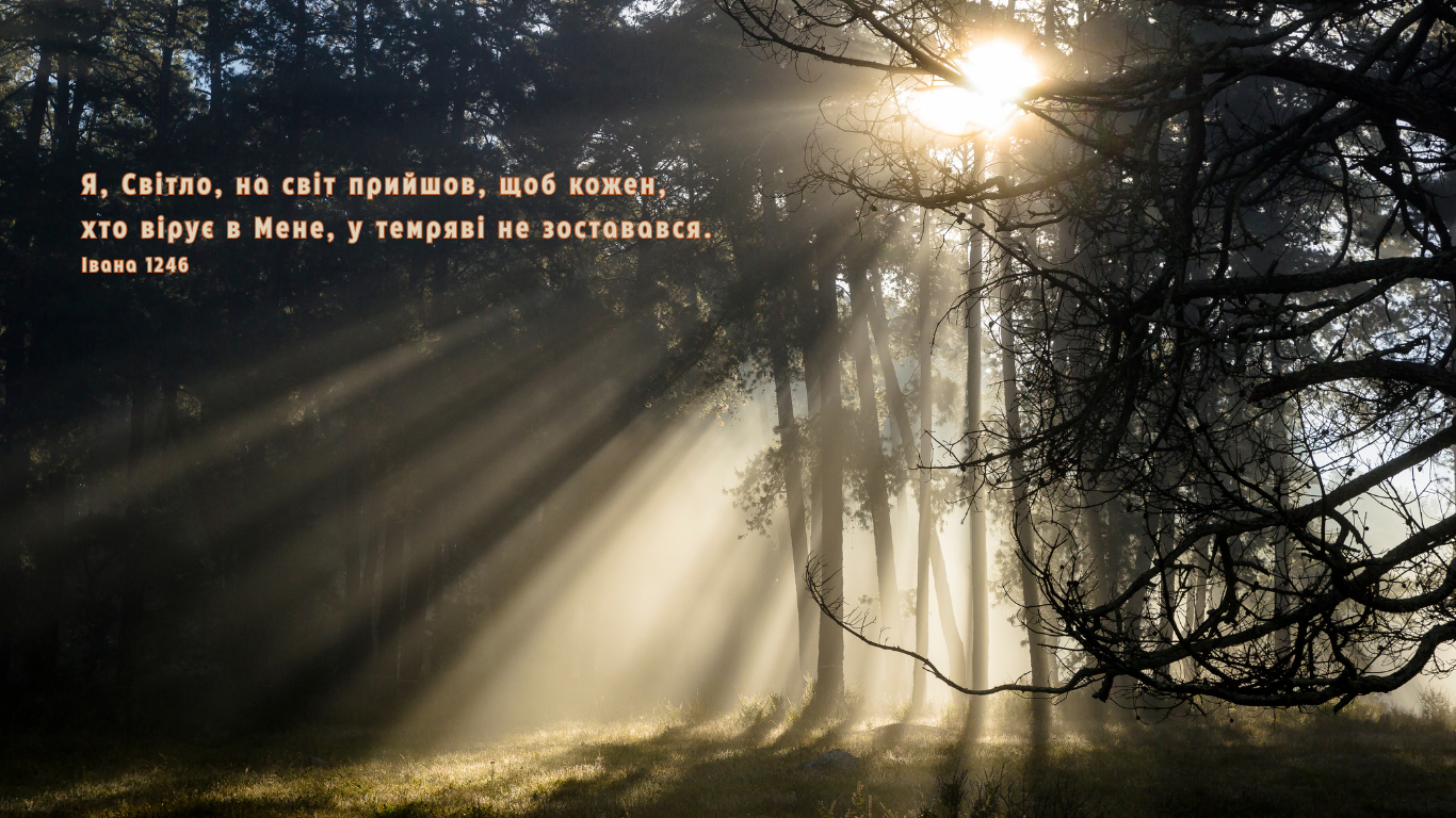 69/365 ХОДИ В СВІТЛІ