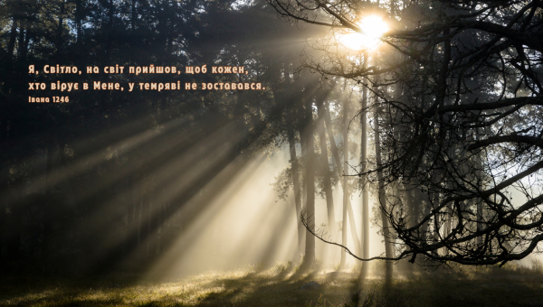 69/365 ХОДИ В СВІТЛІ