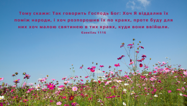 74/365 БОГ Є СВЯТИНЕЮ