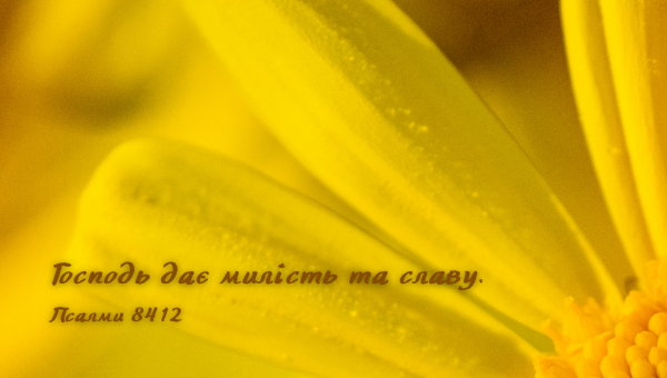 78/365 СТАЮЧИ ВІДПОВІДНИМИ ДЛЯ СЛАВИ