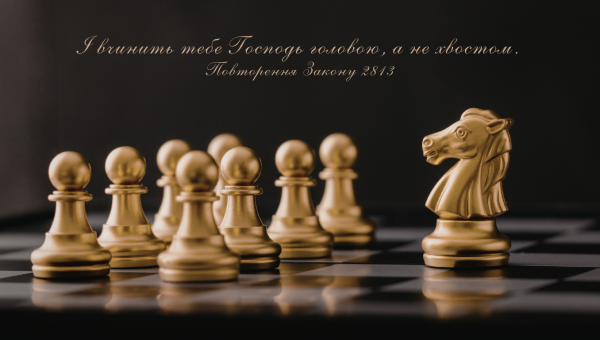 87/365 ВЕДИ ВПЕРЕД