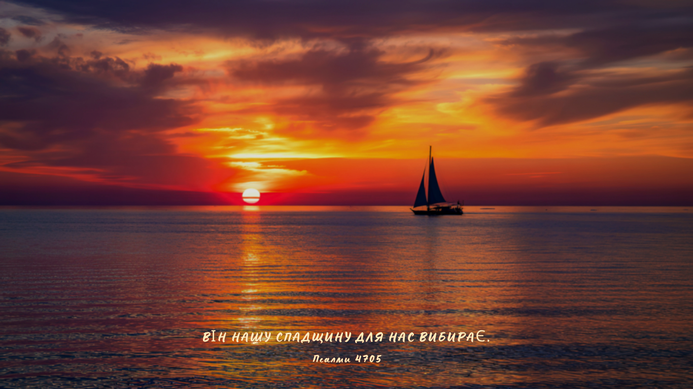 104/365 МІЙ ВИБІР ЦЕ ЙОГО ВИБІР