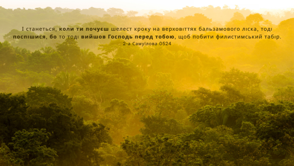 123/365 ПРИСЛУХАТИСЯ ДО СИГНАЛУ